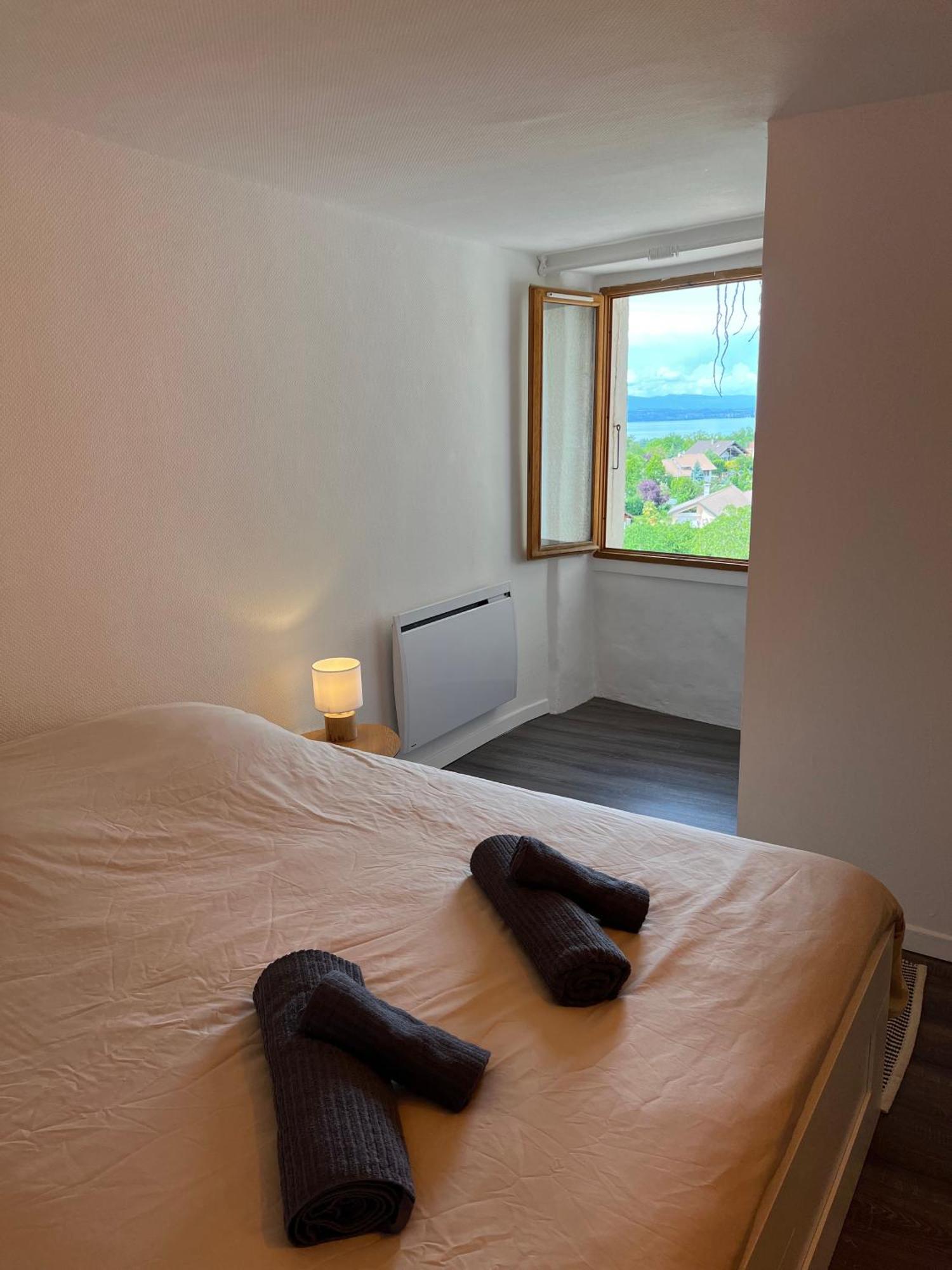 Charmante Maison De Village A 10Min De Thonon-Les-Bains Allinges エクステリア 写真