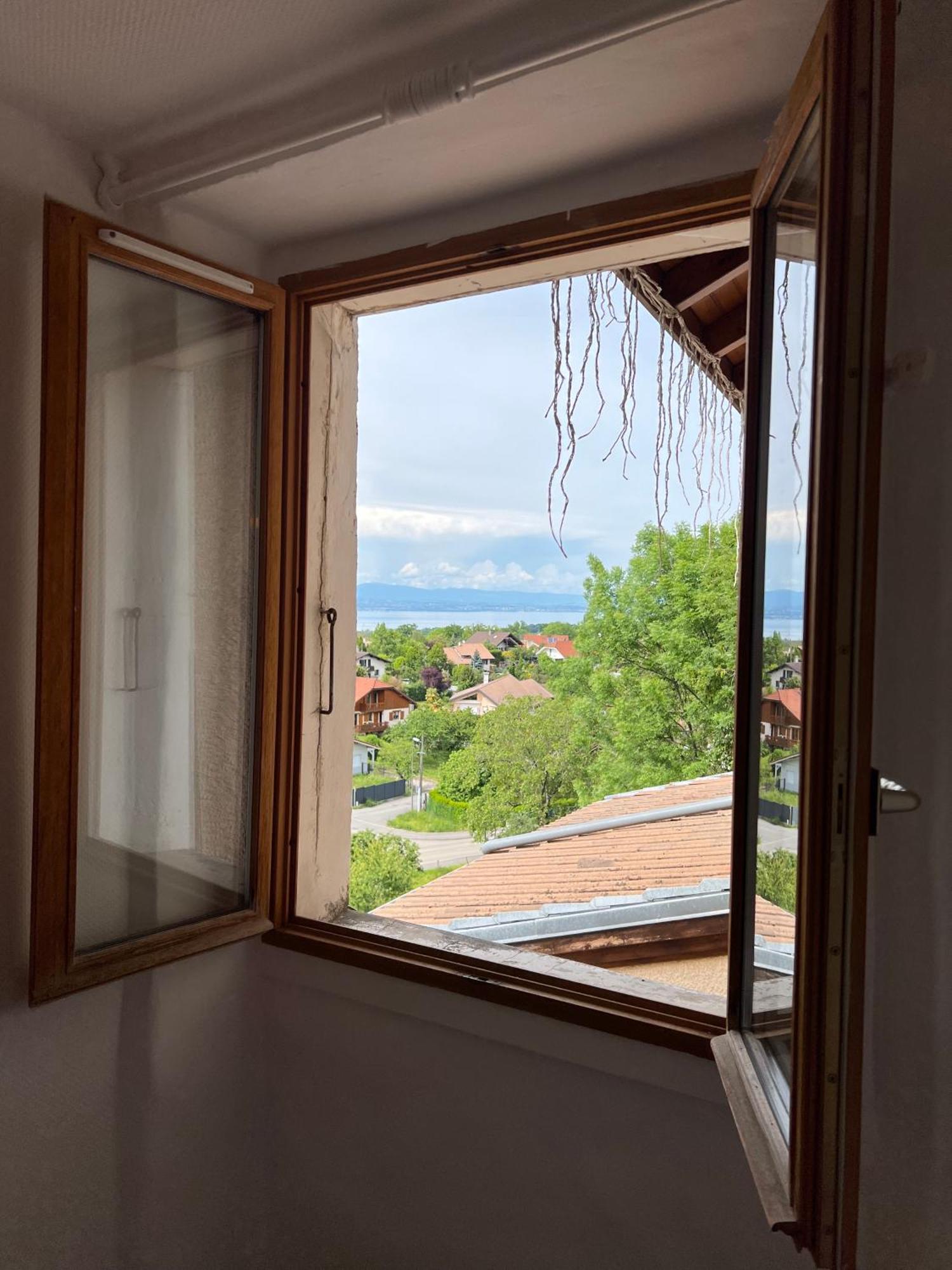 Charmante Maison De Village A 10Min De Thonon-Les-Bains Allinges エクステリア 写真